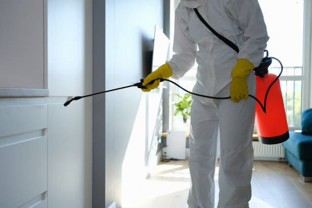 Trusted Norwich, CT Mold Removal Experts