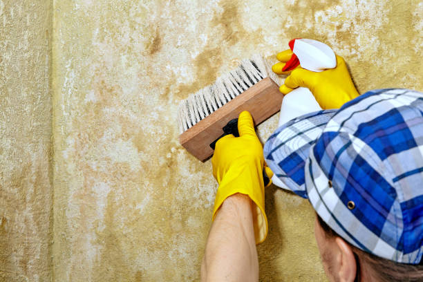 Dehumidification Services in Norwich, CT